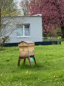 Image mettant en avant une ruche à insecte sur un site du SMAEL